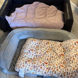 Dog Bed And Couch