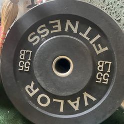 55LB BUMPER PLATE