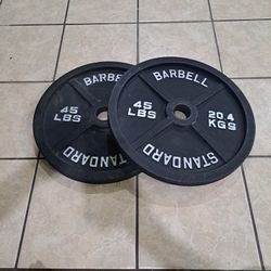2 45 Lbs Olympic Barbell Standard Weight Plates