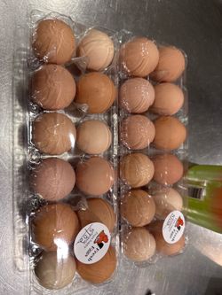 Farm fresh chicken eggs - $6 per dozen