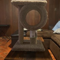 Cat Tunnel Furniture 