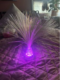 Color Changing Fiber Optic LED Lamp Battery Operated