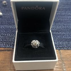 Pandora Charm