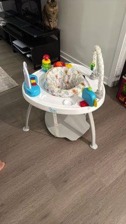 Smart Steps Bounce N Play