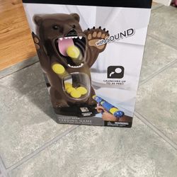 Feed The Hungry Bear Game 