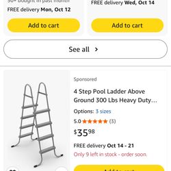 Pool Ladder Like New