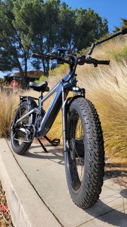 New Puckipuppy GoldenR Dual Motor Electric Bike 1600w
