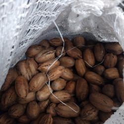 Pecans For Sale 
