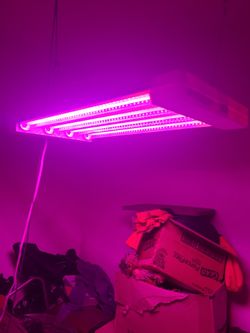 Grow Light
