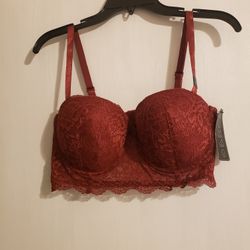 Brick Colored Lace Push Up Bra New