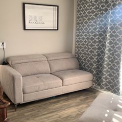 Two Couches For $350