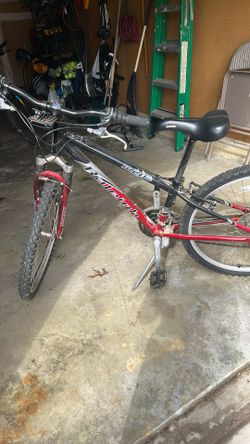 Adult Bike 
