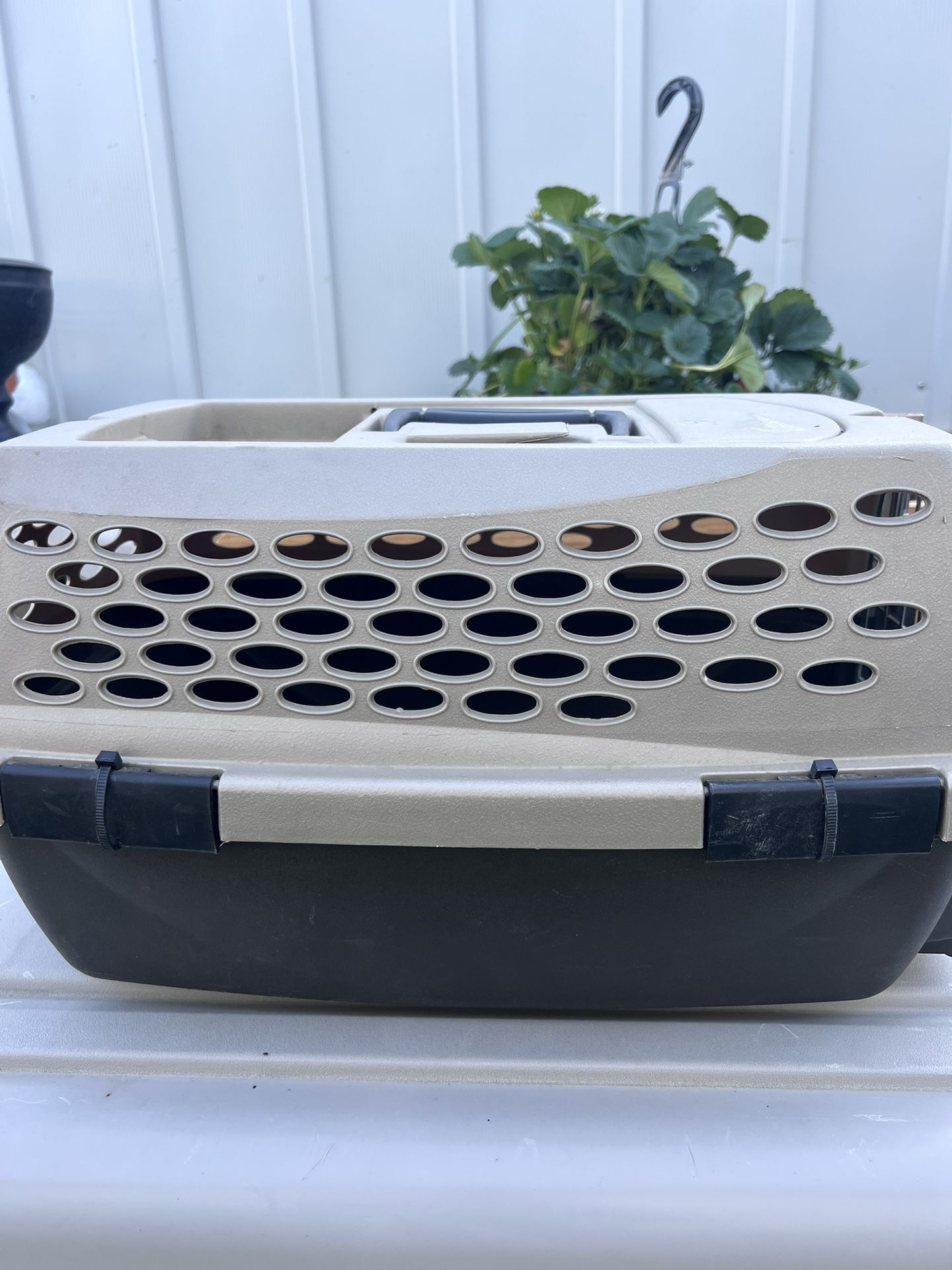 Pet Carrier