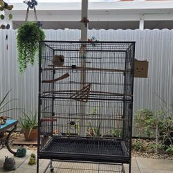 Jaula Negra #1 Para Aves En Buenas Condiciones 