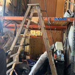 Large 9ft Ladder
