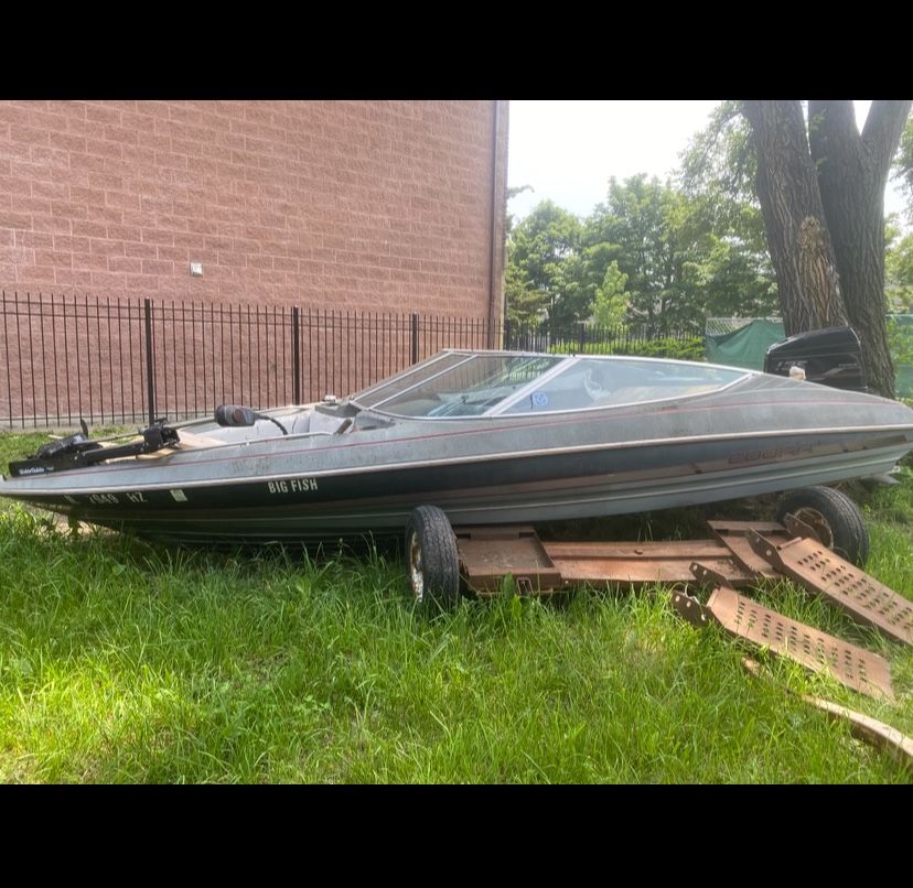 Free Boat  Cobra Ski boat 