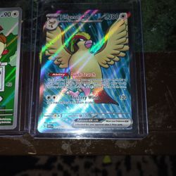 Pidgeot ,,pidgeotto