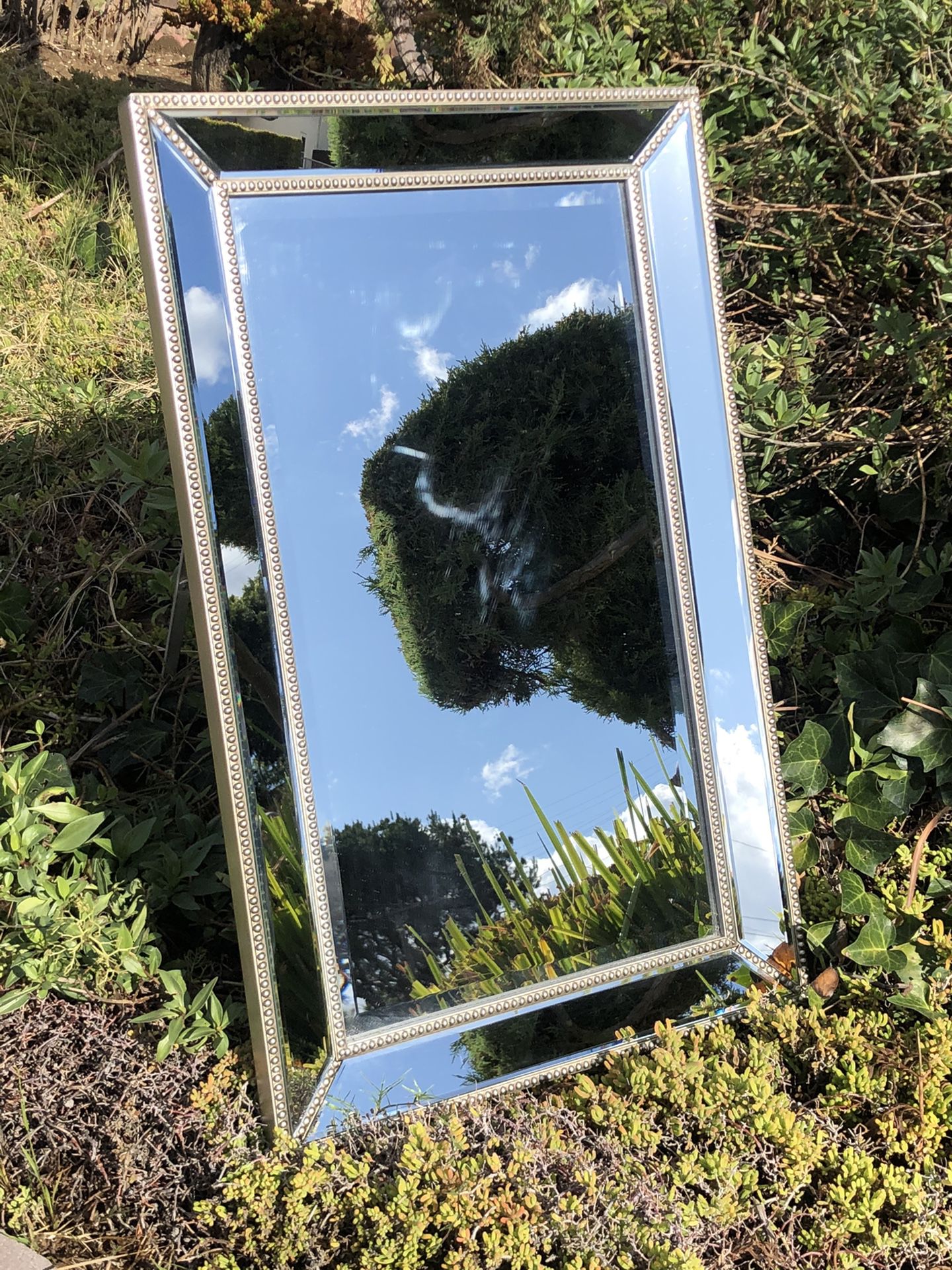 Home House Reflective Wall Mirror “New” 32” x 20” inches