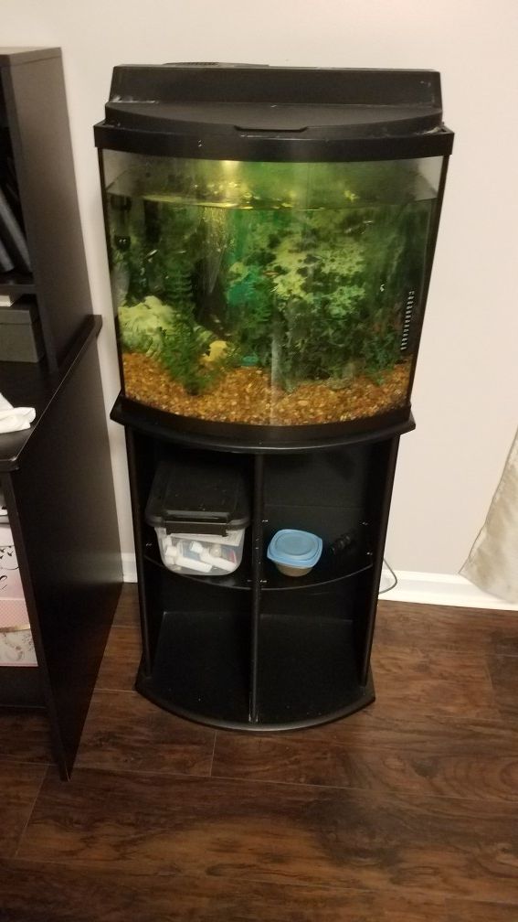 Fish tank and stand