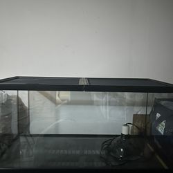 40 Gallon Reptile Tank 