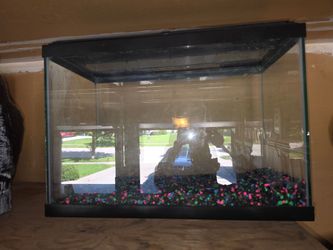20 gallon fish tank