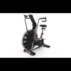 Schwinn Aerodyne exercise Bike