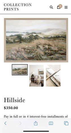 New Framed Canvas Art Print