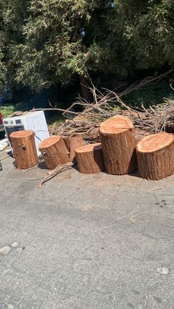Free Dry Cut Wood Logs / Tree Stumps