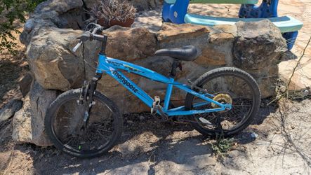 Kids Mongoose mountain bike - 20 inch