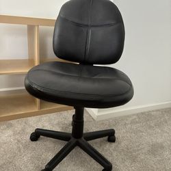 Adjustable Desk Chair