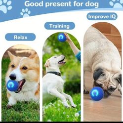 Automatic Bouncing Dog/ Cat  Ball