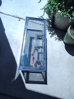 20 gallon small critter tank