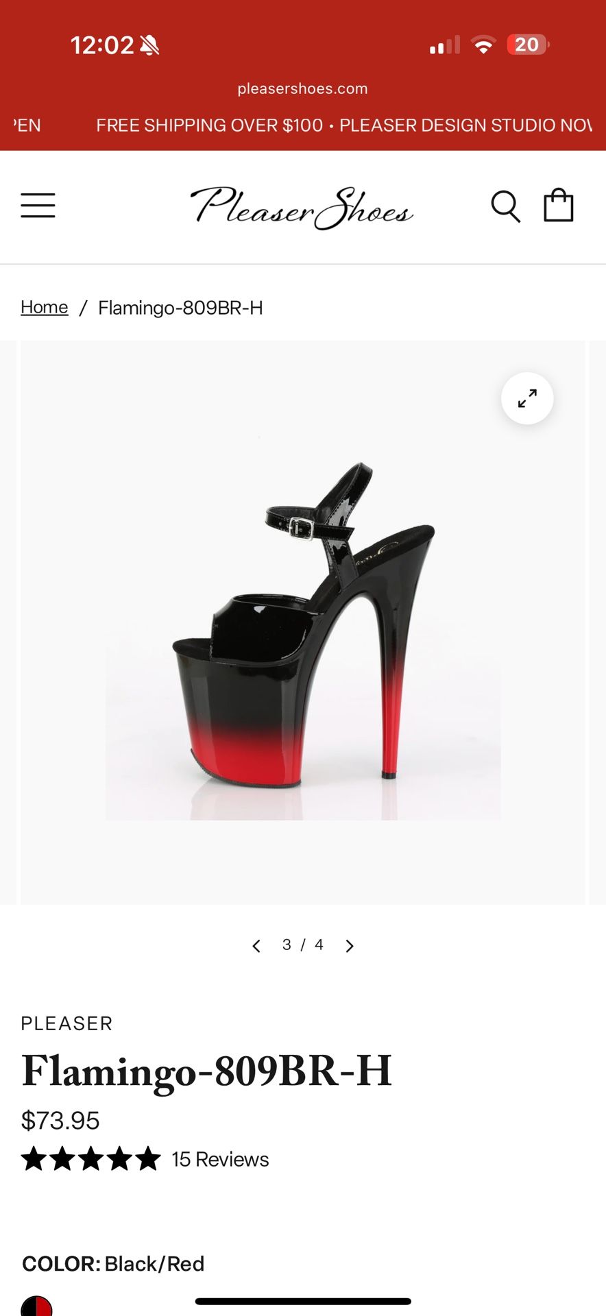 Pleaser Heels