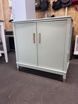 New CosmoLiving by Cosmopolitan Westerleigh 2-Door Accent Cabinet, Pale Green