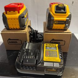 FLEXVOLT 20V/60V MAX Lithium-lon 6.0Ah Battery (2 Pack)and Charger