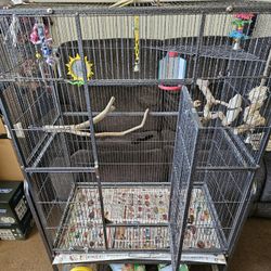 Bird Cage 