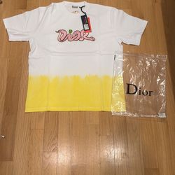 Dior and Kaws Shirt