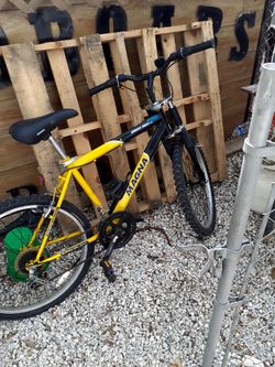 Magna Bike