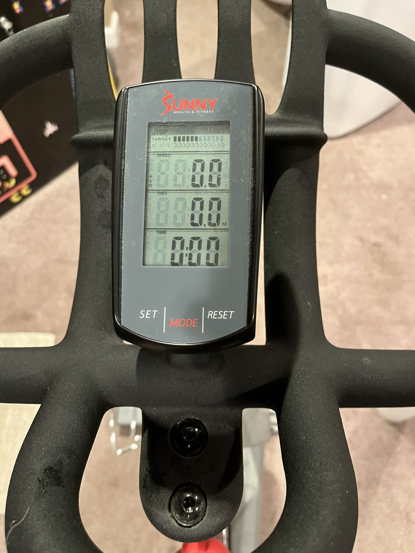 Sunny Excercise Bike