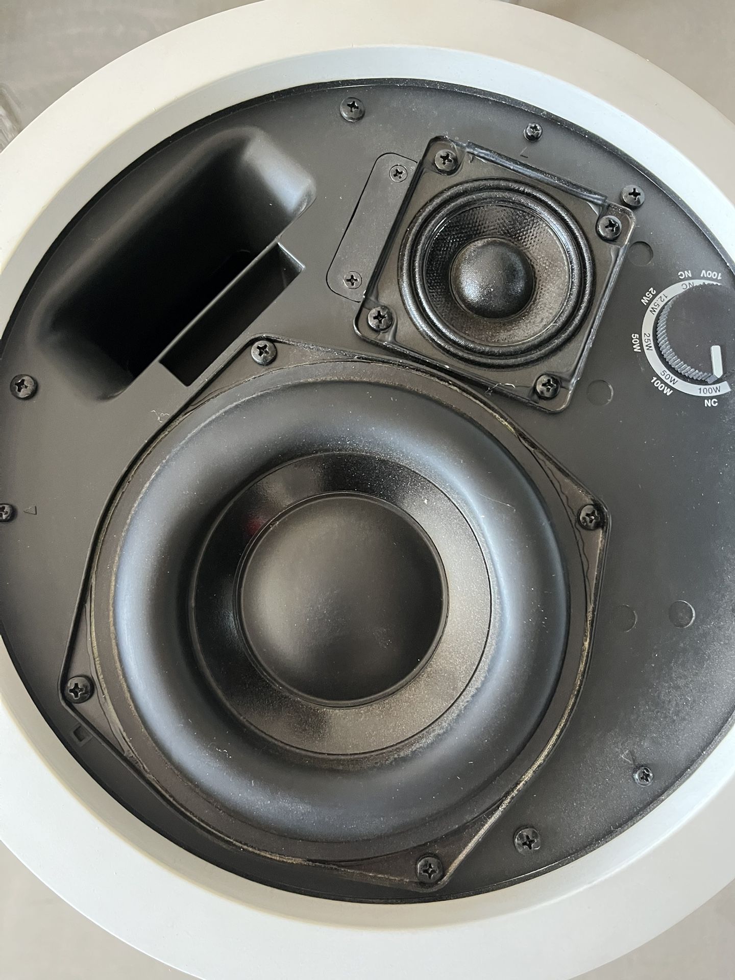 Bose Ceiling Speakers