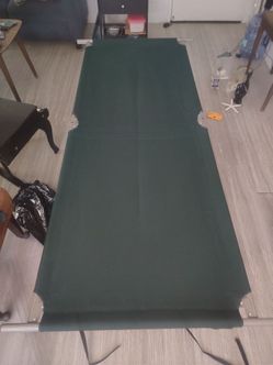 Portable fold-out cot