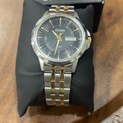 Citizen Mens Watch 