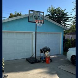 Basket Ball Hoop 