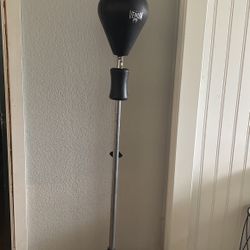 Speed Punching Bag 