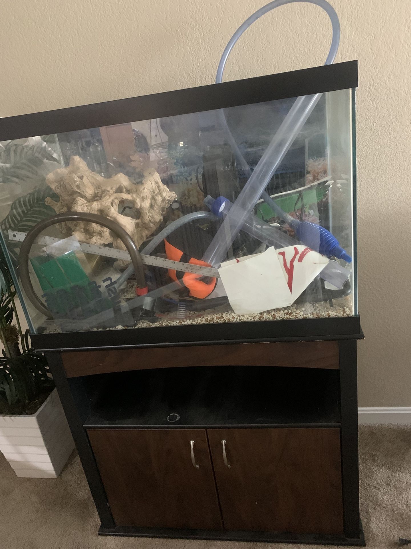 Aquarium For Sale