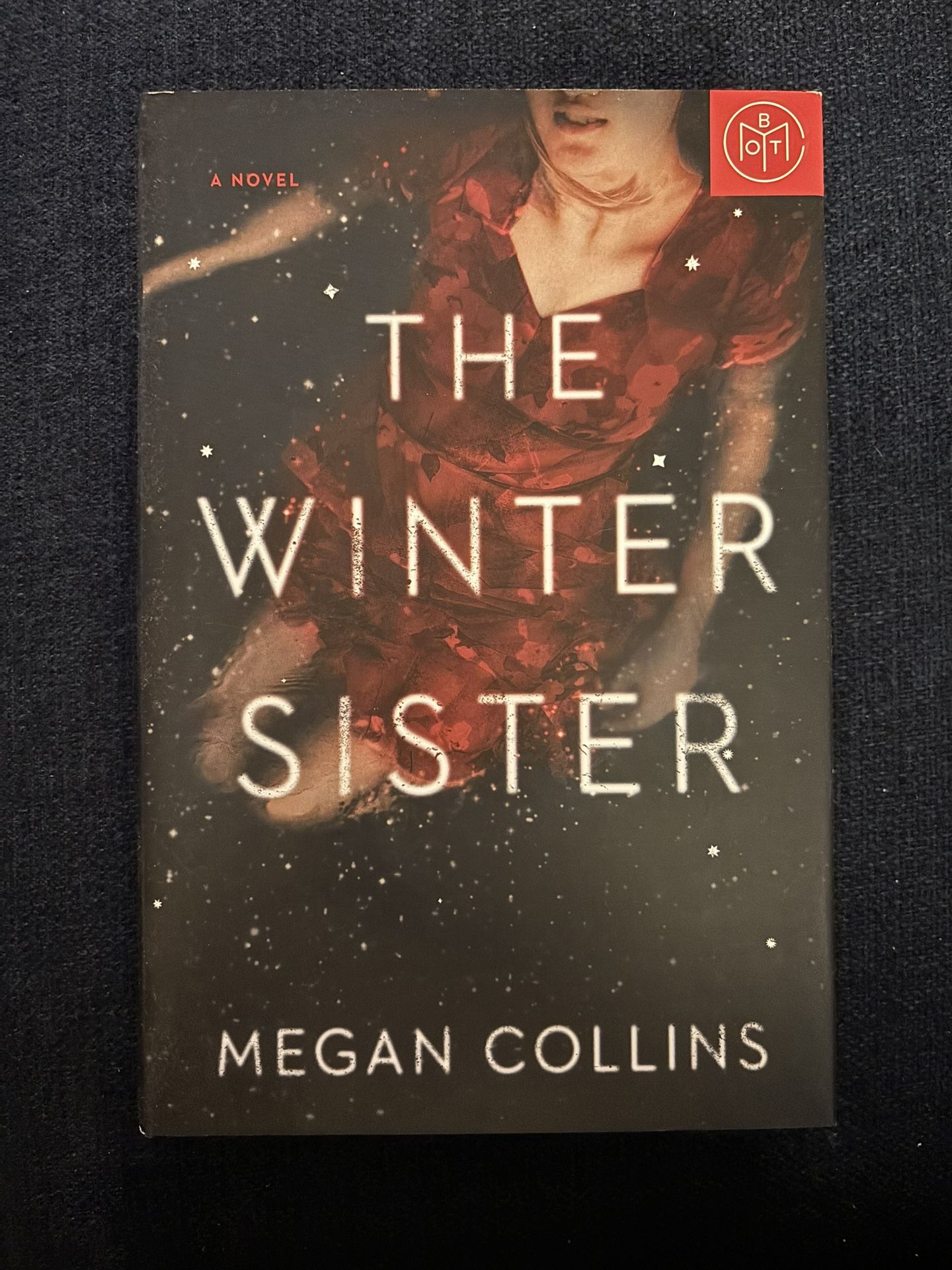 The Winter Sister