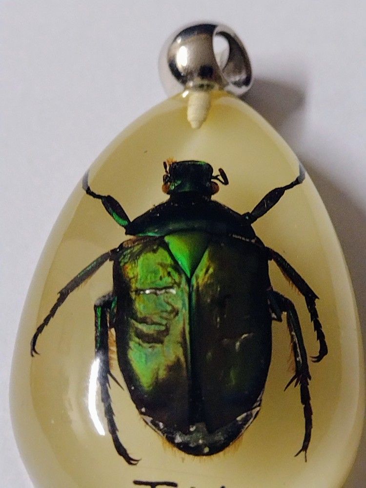 LUCKY SECURITY MASCOT**GLOW** New Green Rose Chafer Beetle Insect Specimen Pendant Charm.16 Grams. 55X30 mm.