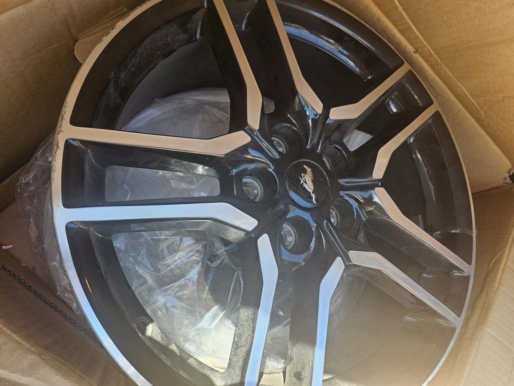 Mustang Rims