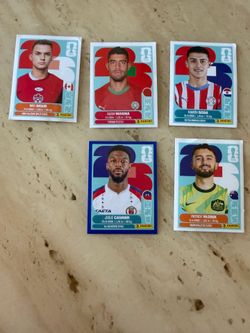 Panini World Cup stickers