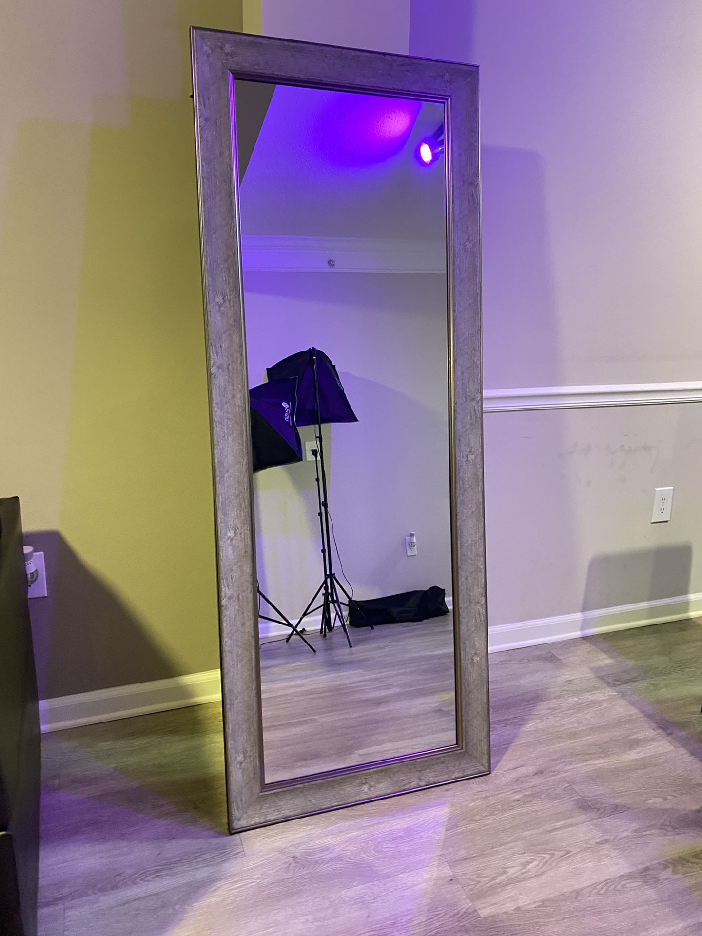 Full body Mirror